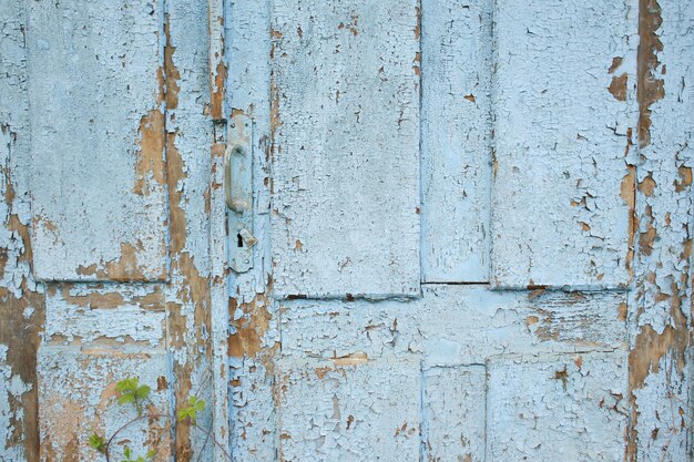 Wooden old shabby wall in full screen Light and colored wall