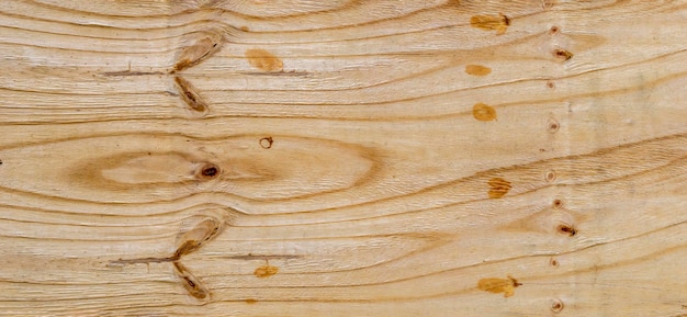 Wooden panoramic texture with natural details used as a background