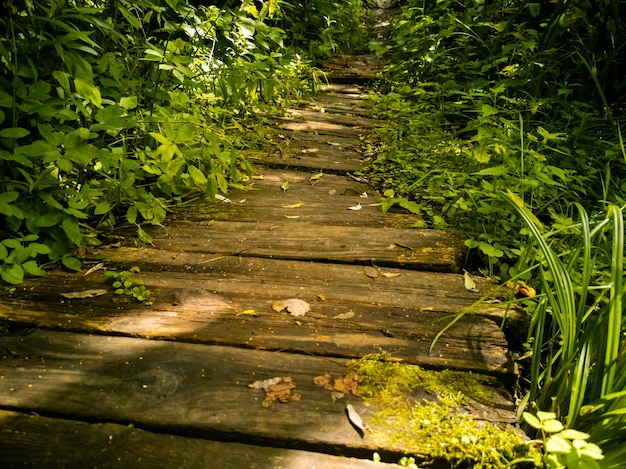 Wooden path in the grass closeup beautiful background of old boards in greenery