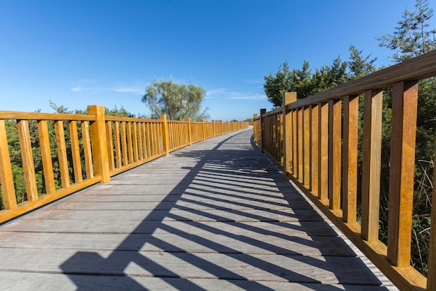 Wooden path in natural surroundings