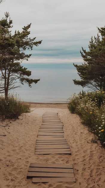 Wooden path on a sandy beach going to the sea