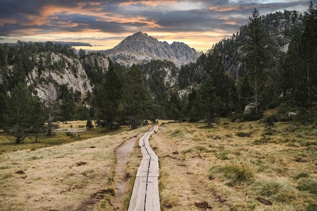 Wooden path through the field to high mountain near the forest in dramatic sunset light in autumn