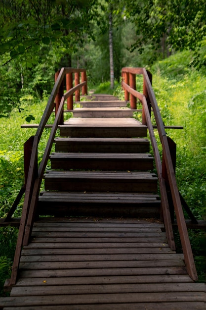 Wooden path with railings and steps in a lush green forest Walk outdoors