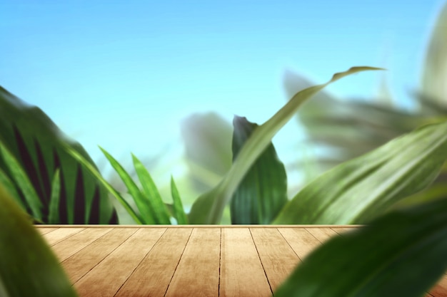 Wooden path with tropical green leaves