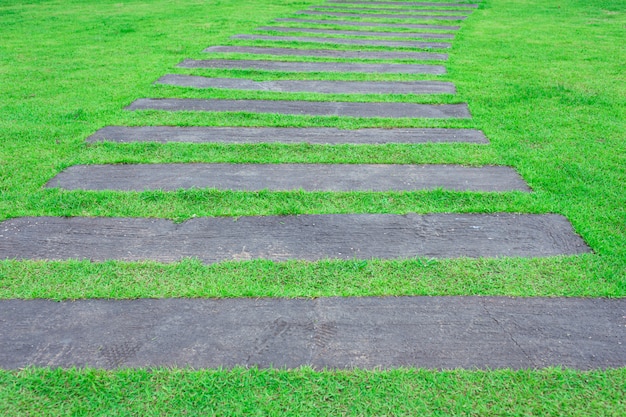 Wooden pathway in the grass garden