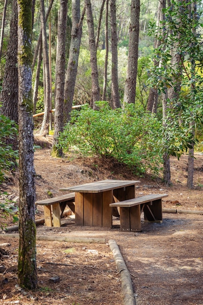 Wooden picnic area in the middle of the forest, recreation area. Vertical view