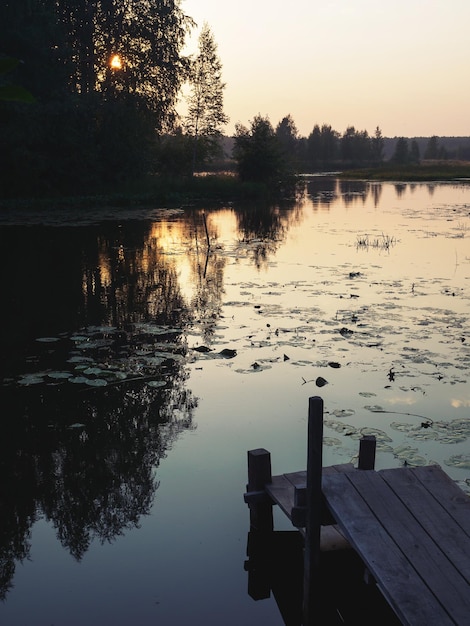 Wooden pier on the river Sunset in the countryside Water lilies on water