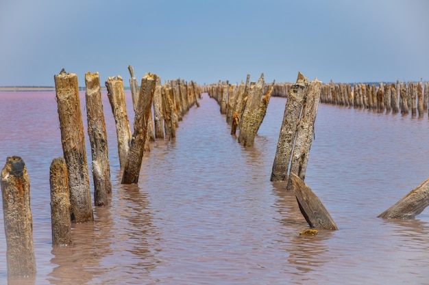 Wooden piers in salt lake wooden remains in pink lake