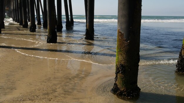 Photo wooden piles under boardwalk, pier california coast usa. pilings, pylons or pillars of bridge, beach