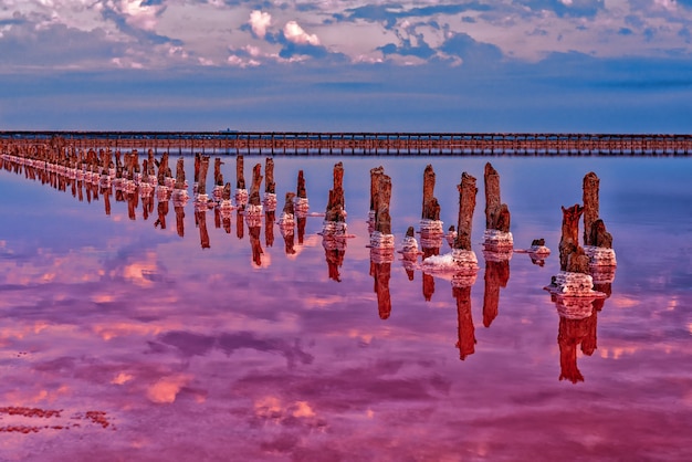 Wooden piles covered with salt crystals