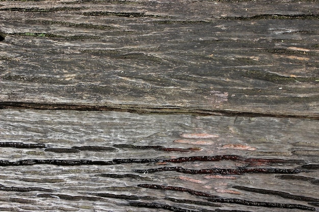 A wooden plank with water on it