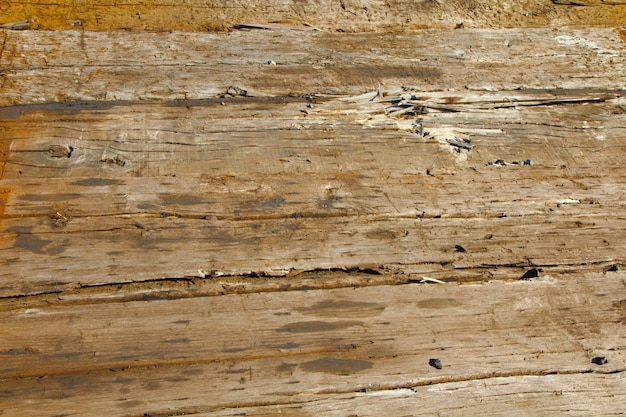 A wooden plank with the word " on it " on it