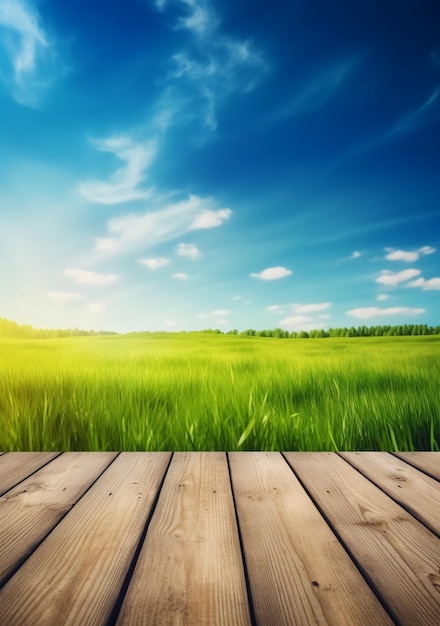 Wooden planks with a field and a blue sky in the background.