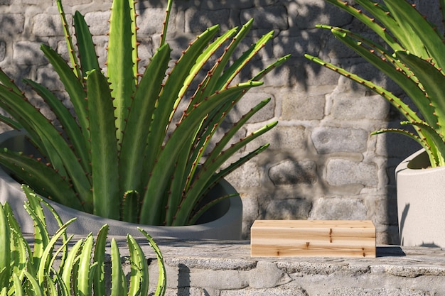 Wooden platform on brick wall tropical plants foreground and background