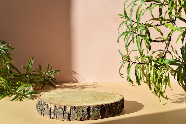 Wooden podium for the presentation of ecoproducts Cut down a tree with leaves and natural shadows