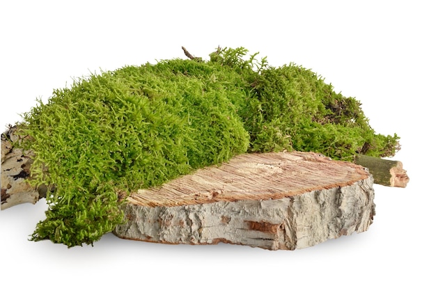 Wooden podium for the presentation of natural products cosmetics Isolation on a white background