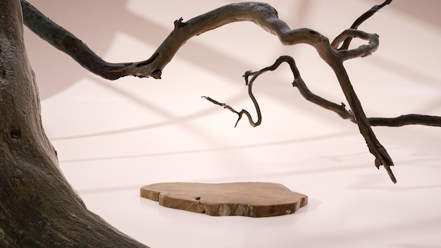 Wooden podium with dry branches, background for product demonstrations, mock-up for cosmetics