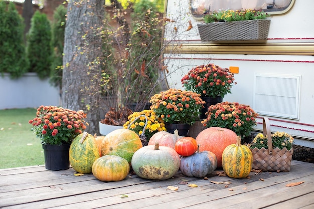 Wooden Porch decorated for Halloween, Thanksgiving. Orange Pumpkins and flowers on steps house