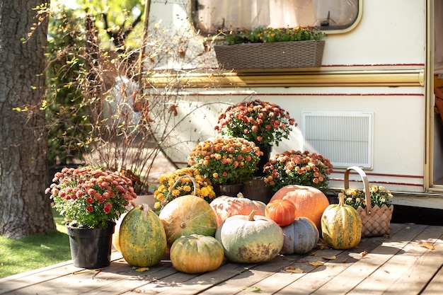 Wooden Porch decorated for Halloween Thanksgiving Orange Pumpkins and flowers on steps house