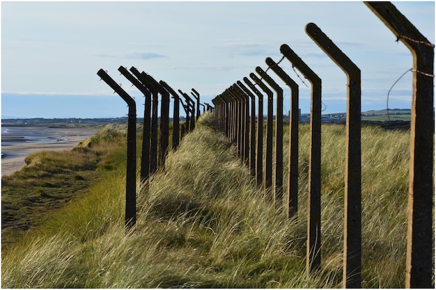 Photo wooden posts on beach against sky