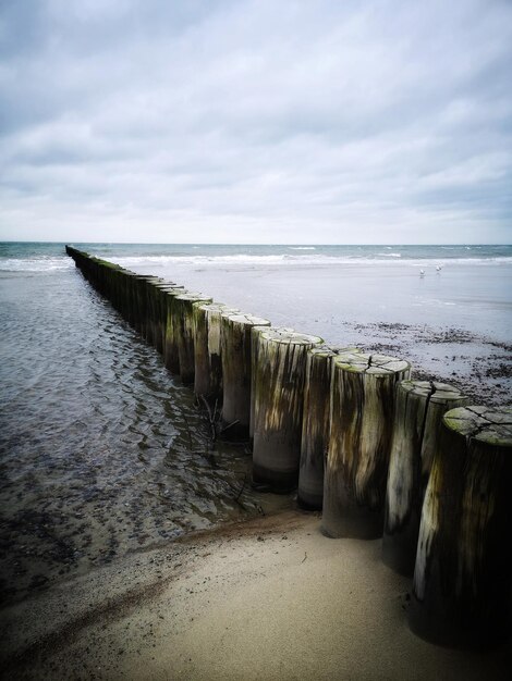 Photo wooden posts on beach against sky