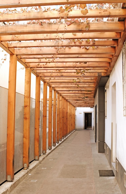 A wooden roof with a wooden roof and a tree branch on the left.