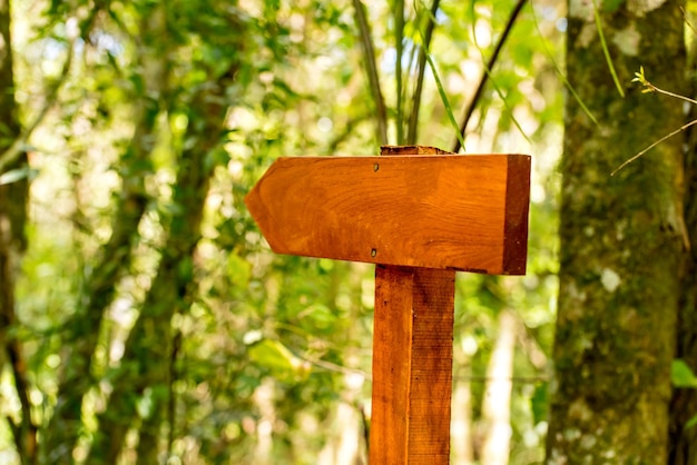 Wooden sign in a forest in Brazil path in the middle of the forest