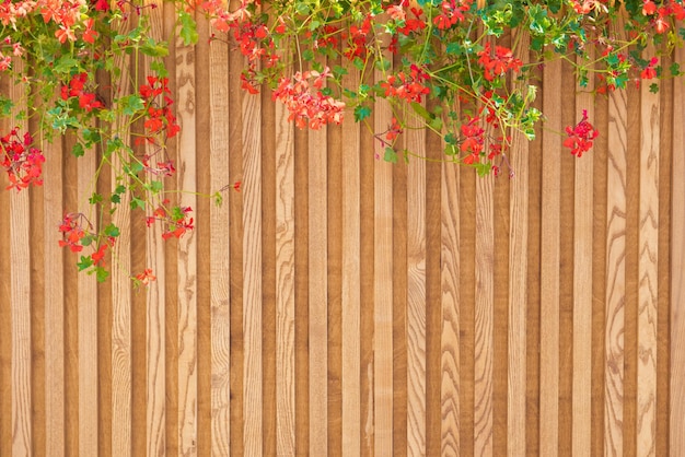 Wooden slats wall with wild plants and red flowers. Background texture wooden