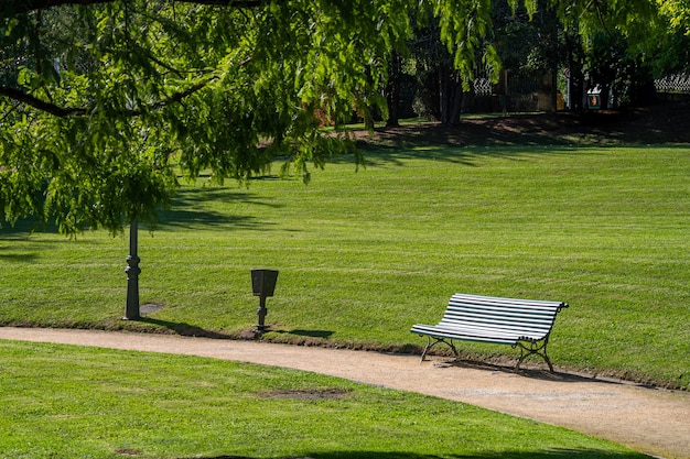 Wooden slatted bench in a verdant green park with neat lawns and woodland trees at the side of a walkway or path