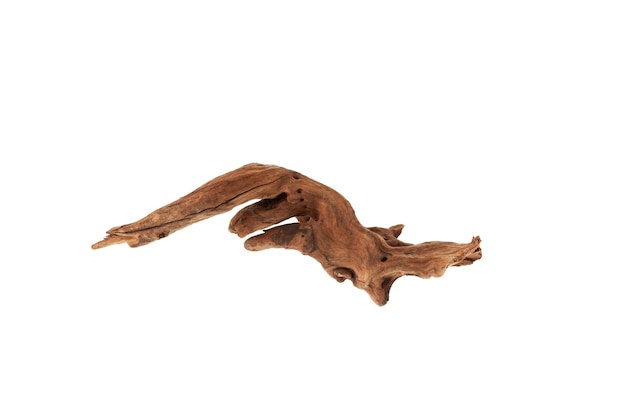 Wooden snag on white background Driftwood or aged wood Decorative element for aquarium decoration.