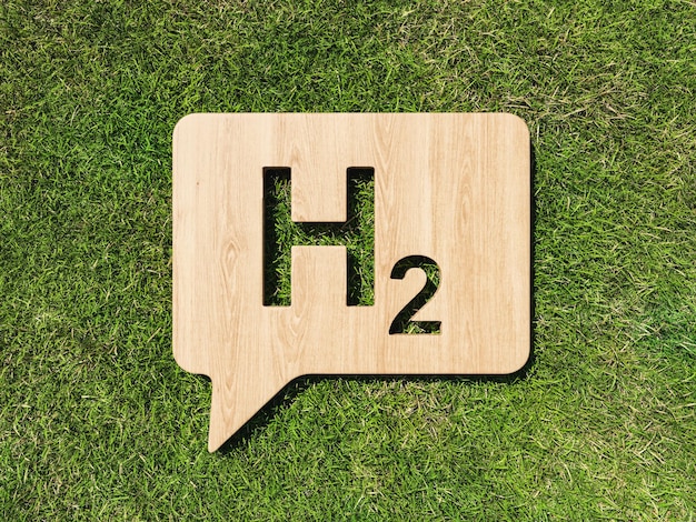 Wooden speech balloon with H2 on green grass