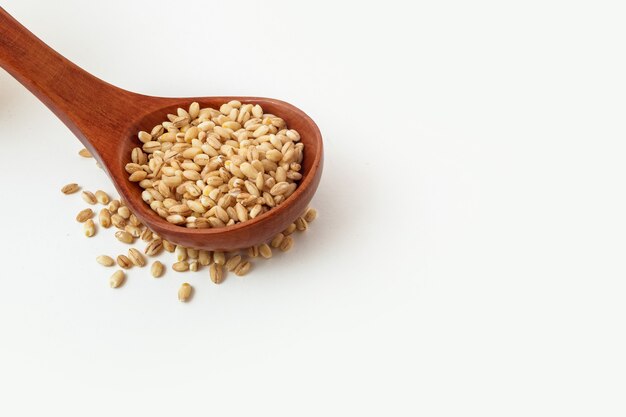 Wooden spoon with barley porridge on a white background