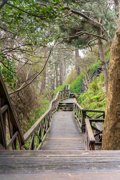 Wooden stairs in the middle of nature for walking and running