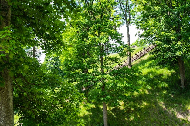 Wooden Stairs to the top of the Mound.