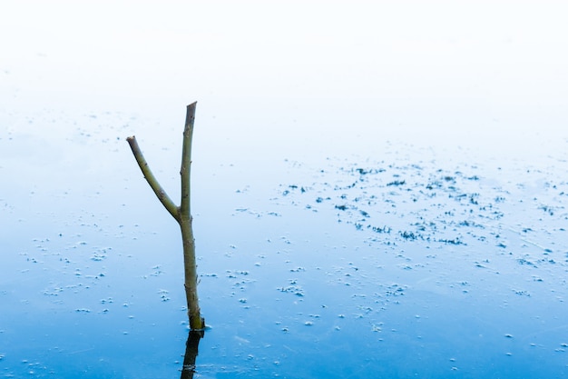 Wooden stand for a fishing rod in the river. homemade stand in the form of a slingshot