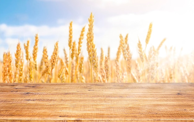 wooden surface against the background of a field with spikelets