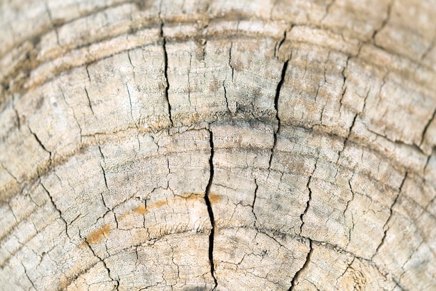 Wooden surface with cracks background