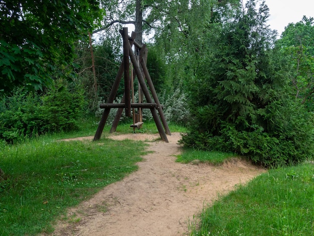 Wooden swing at the park under the big forest trees summer time