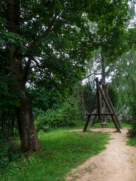 Wooden swing at the park under the big forest trees summer time