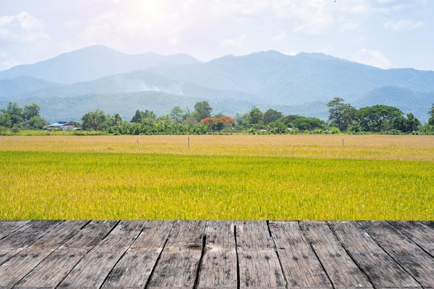 Wooden Table Against Rice field and Mountain Scape Background