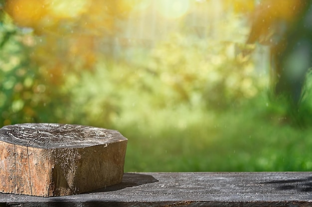 Wooden table and burnt stump