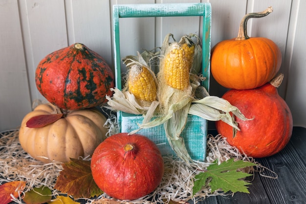 The wooden table decorated with vegetables, pumpkins, corn and autumn leaves. Autumn background. Thanksgiving Day or Halloween concept.