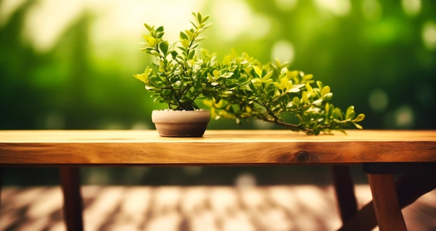 Wooden table and the green bushes on top of it