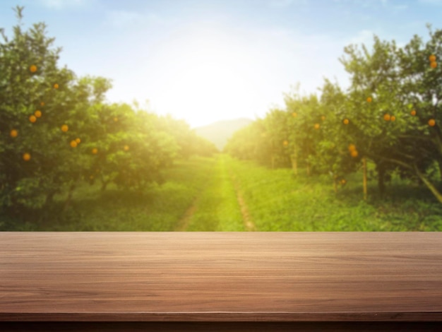 Wooden table place of free space for your decoration and orange trees with fruits in sun light