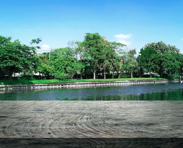 Wooden table terrace with a refreshing atmosphere in the morning little swamp lake in summer