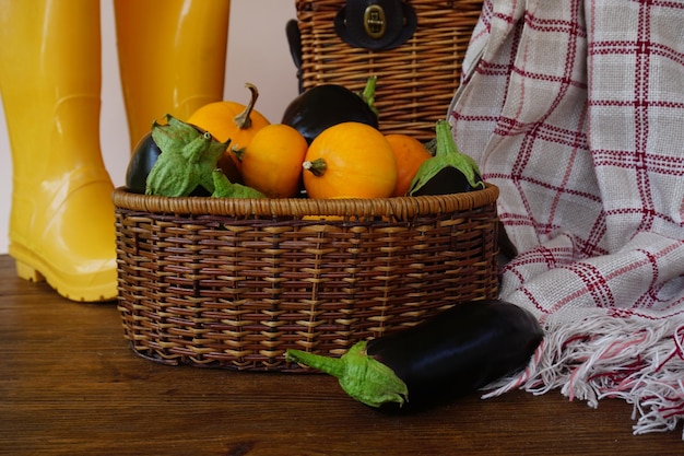 On a wooden table there is a wicker basket with a harvest of eggplants and pumpkins