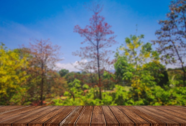 Wooden table top on blurred park background