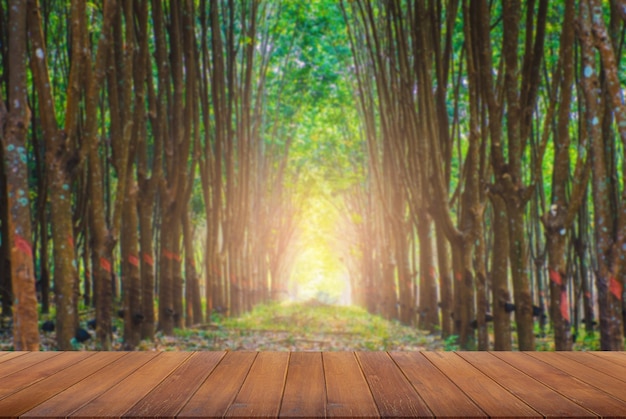 Wooden table top on rubber plantation background sunlight shines