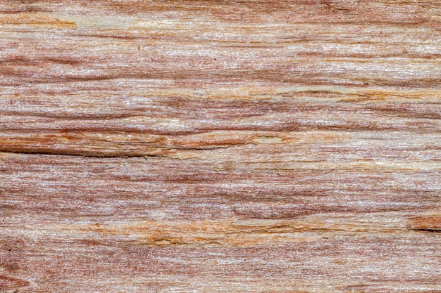 Wooden texture background