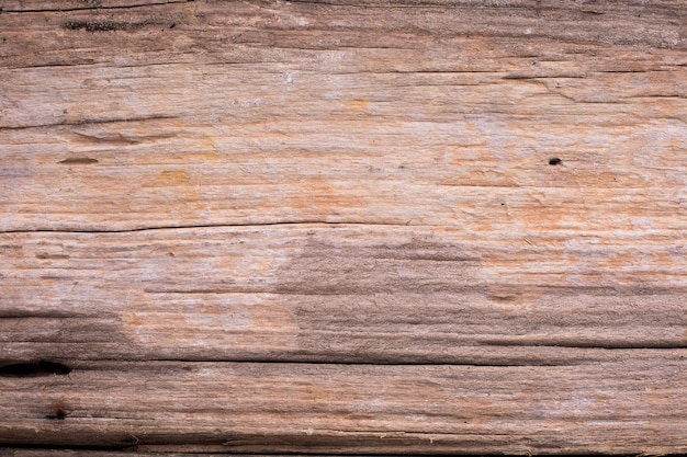 wooden texture background 